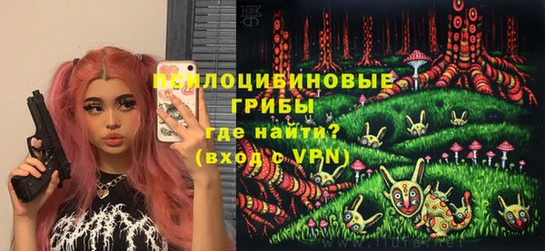 герыч Тихвин