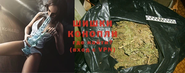 дживик Богородицк