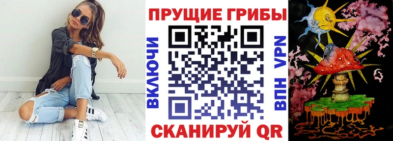 купить наркоту Новое Девяткино Псилоцибиновые грибы ЛСД